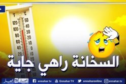 أجواء حارة تتعدى 50 درجة وأمطار متفرقة بداية من اليوم