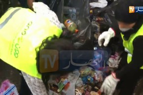 وزيرة البيئة “فاطمة الزهراء زرواطي” تنقي من قلبها