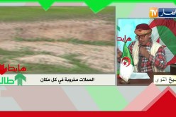 الشيخ النوي: محلات مخروبة في كل مكان.. دراهمنا راحوا غير في الخراب