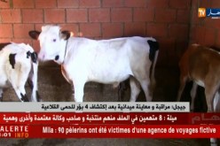 جيجل/ مراقبة ومعاينة ميدانية بعد إكتشاف 4 بؤر للحمى القلاعية