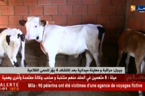 جيجل/ مراقبة ومعاينة ميدانية بعد إكتشاف 4 بؤر للحمى القلاعية