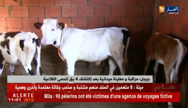 جيجل/ مراقبة ومعاينة ميدانية بعد إكتشاف 4 بؤر للحمى القلاعية