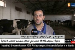 باتنة/ إنعدام الكهرباء يرهن مستقبلا واعدا في إنتاج الحليب بزانة أولاد سباع