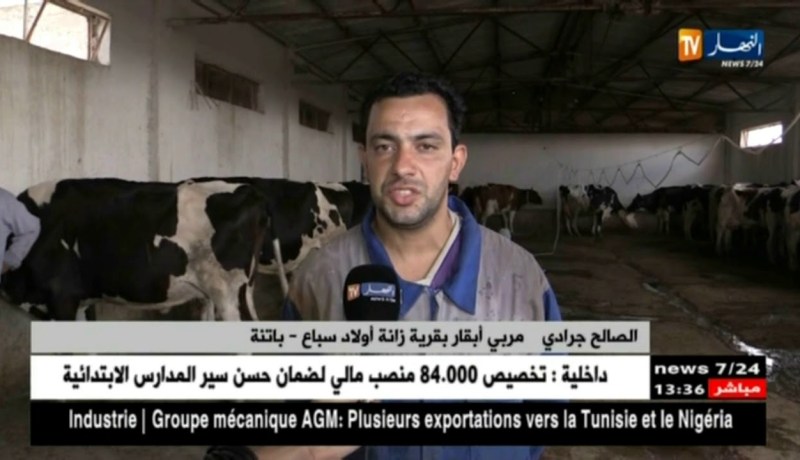 باتنة/ إنعدام الكهرباء يرهن مستقبلا واعدا في إنتاج الحليب بزانة أولاد سباع
