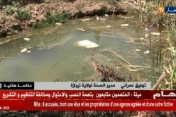مدير الصحة لتيبازة: “لا وجود للكوليرا القاتلة بمنبع سيدي لكبير في حمر العين”