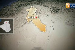 الجلفة: كلب مسعور يهاجم طفل صغير ويسبب له جروح متفاوتة الخطورة