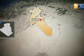 الجلفة: كلب مسعور يهاجم طفل صغير ويسبب له جروح متفاوتة الخطورة