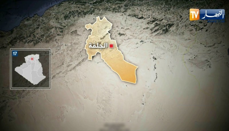 الجلفة: كلب مسعور يهاجم طفل صغير ويسبب له جروح متفاوتة الخطورة