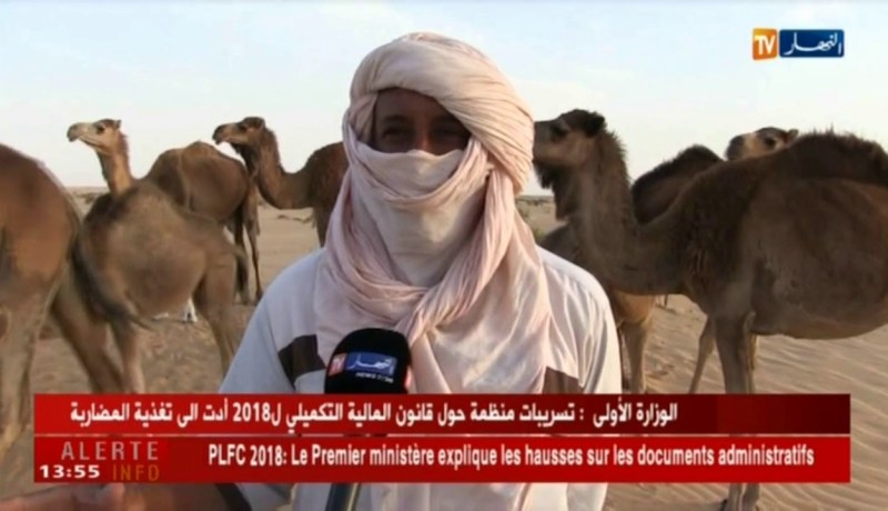 الوادي : نفوق ثروة الإبل على الشريط الحدودي الشرقي..و الموالون يستغيثون