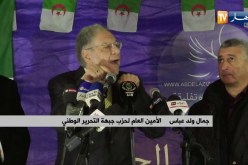 سياسة: ولد عباس يحتفل بيناير في تيزي وزو.. وزوجته تخطف الأضواء