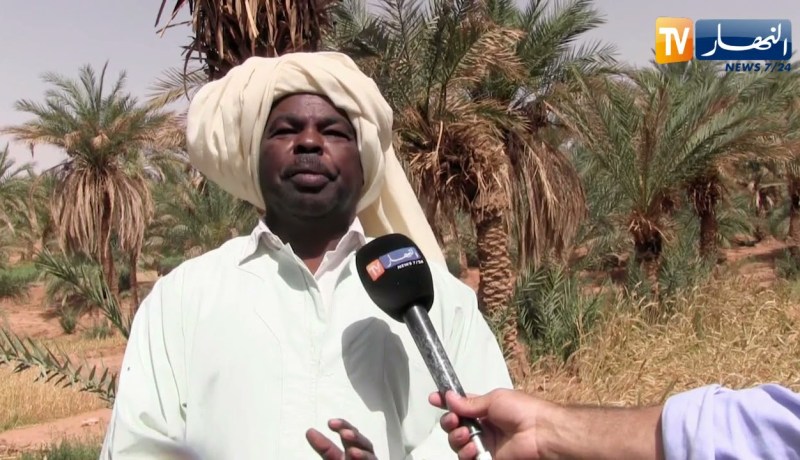 أدرار: تحضير الفريك لشهر رمضان .. تقاليد راسخة لسكان زاوية كنتة