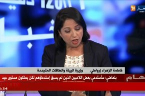 حملات تنظيف واسعة بمشاركة وزيرة البيئة في مواجهة الكوليرا..لماذا تحولت إلى مبادرات مناسبتية ؟