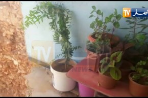 شاهد 3 عائلات تعيش في العراء وفي وضع خطير بحي المطمر الشعبي وسط مدينة مستغانم