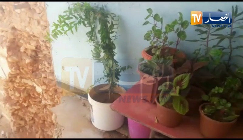 شاهد 3 عائلات تعيش في العراء وفي وضع خطير بحي المطمر الشعبي وسط مدينة مستغانم