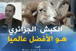 مصطفى زبدي: “الكبش الأغلى عالميا هو الكبش الجزائري..لهذا يجب مساعدة الموالين الحقيقيين لدخول السوق”
