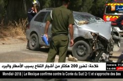 الحماية المدنية:06 وفيات في حوادث المرور خلال 24 ساعة الأخيرة