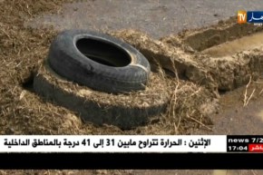 سوق أهراس: فلاحون يتكبدون خسائر فادحة بسبب الأمطار الرعدية بتاورة