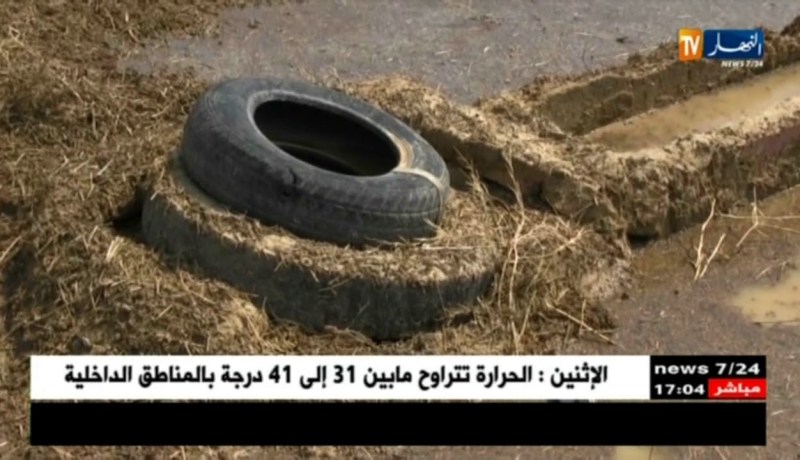 سوق أهراس: فلاحون يتكبدون خسائر فادحة بسبب الأمطار الرعدية بتاورة