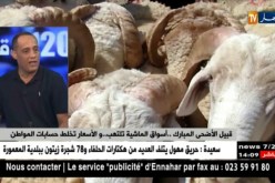 قبيل الأضحى المبارك..أسواق الماشية تلتهب..والأسعار تخلط حسابات المواطن