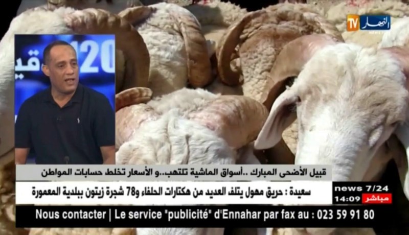 قبيل الأضحى المبارك..أسواق الماشية تلتهب..والأسعار تخلط حسابات المواطن