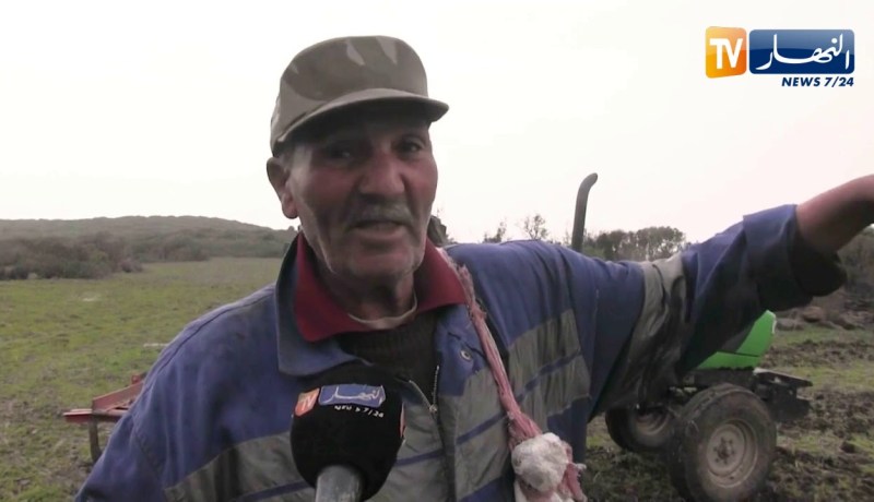 سكيكدة: الشكارة .. وسيلة زرع تقليدية مفضلة لدى كثير الفلاحين