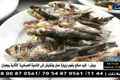 روبورتاج: الهدوء يخيم على ميناء تيبازة مع إنطلاق موسم الإصطياف