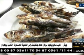 روبورتاج: الهدوء يخيم على ميناء تيبازة مع إنطلاق موسم الإصطياف