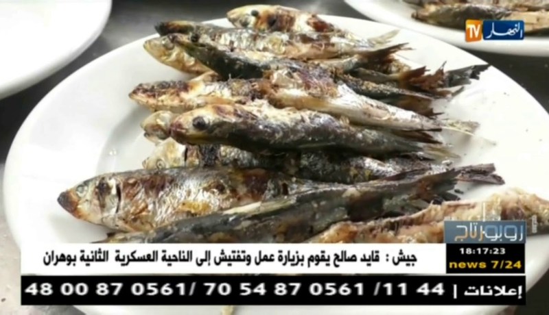 روبورتاج: الهدوء يخيم على ميناء تيبازة مع إنطلاق موسم الإصطياف