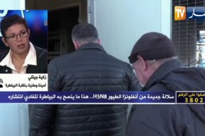 زكية جيتلي: هذه هي الإجراءات التي يجب إتباعها لتفادي إصابة الدواجن بأنفلونزا الطيور