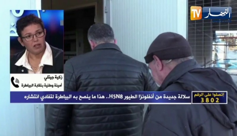 زكية جيتلي: هذه هي الإجراءات التي يجب إتباعها لتفادي إصابة الدواجن بأنفلونزا الطيور