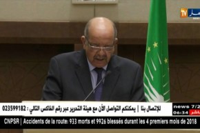 وزير الشؤون الخارجية: الجزائر تدعم الصحراوين وفق الجهود الأممية والدولية بين طرفي النزاع