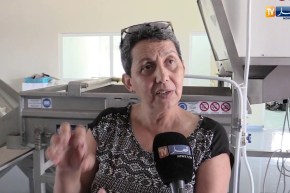 مجتمع: هذه هي مراحل تحضير بلح البحر LES MOULES