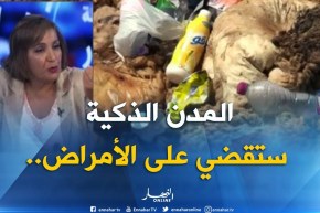 غياب ثقافة المواطنة..النظافة..عوامل تؤخر الولوج إلى عالم المدن الذكية