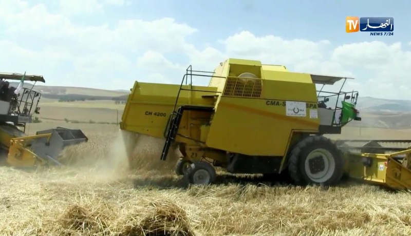 ميلة: تأجير مخازن الخواص لإنعدام هياكل إستقبال منتوج القمح والشعير