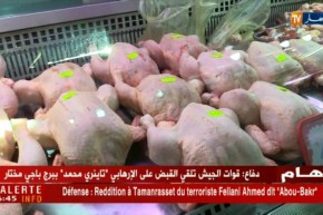تجارة/ اللحوم البيضاء ترتفع لتصل 400 دج والسبب نقص الصيصان