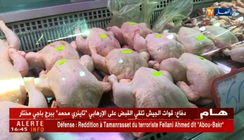تجارة/ اللحوم البيضاء ترتفع لتصل 400 دج والسبب نقص الصيصان