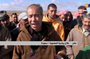 سعيدة/ فلاحو بلدية المعمورة يطالبون التعجيل في تقسيم الأراضي الفلاحية