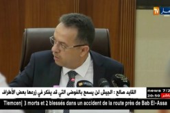 وزير العمل: تمثيلية النقابات في قطاع الضمان الإجتماعي وصلت إلى 92 بالمئة
