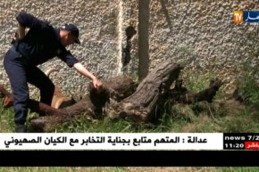 أمن:كلاب السينوتقنية للشرطة….”أنياب” لمجابهة الجريمة