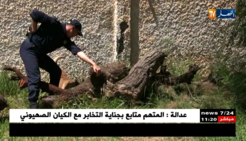 أمن:كلاب السينوتقنية للشرطة….”أنياب” لمجابهة الجريمة