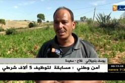 سعيدة: لعدم تأمين أرضه الفلاحية..فلاح يضاعف منتوجاته الفلاحية