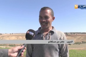 سعيدة: منطقة القلايعة تتحول إلى مصدر رزق