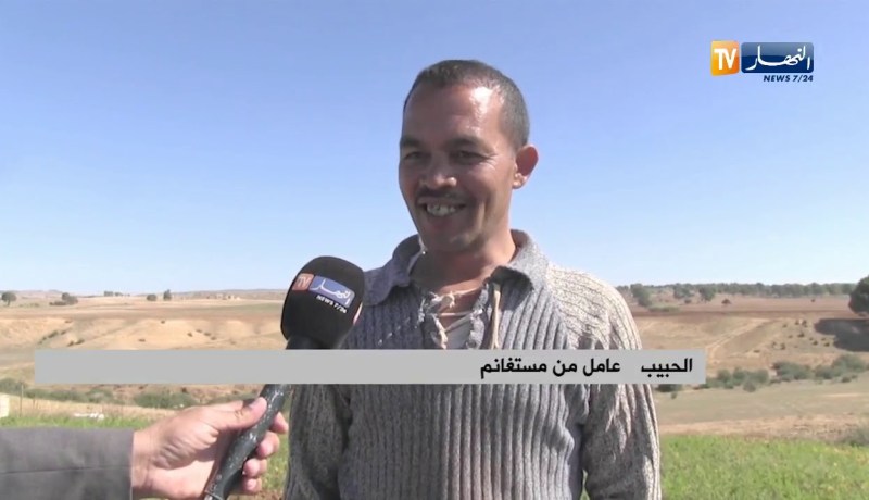 سعيدة: منطقة القلايعة تتحول إلى مصدر رزق