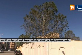 طقس: هبوب رياح قوية على الأوراس إبتداءا من صبيحة اليوم إلى غاية فجر الأربعاء