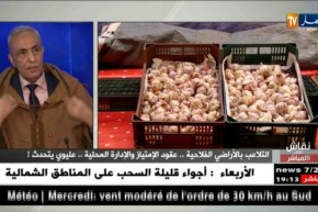 محمد عليوي: لدينا إكتفاء ذاتي و لا نحتاج لإستيراد الخضر والفواكه