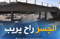 الشيخ النوي: الحملة دمرت الجسر وسلطات غليزان ما خدموهش