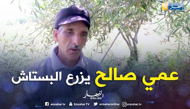 جيجل: عمي “صالح” يخوض أول تجربة في زراعة فاكهة الفسق الحلبي