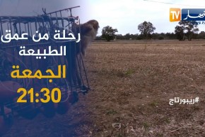 روبورتاج: رحلة من عمق الطبيعة .. يأتيكم الجمعة 21:30