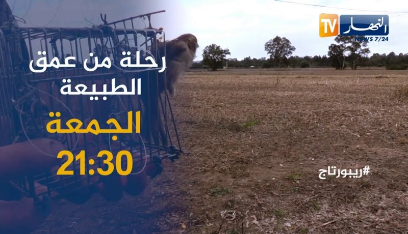 روبورتاج: رحلة من عمق الطبيعة .. يأتيكم الجمعة 21:30