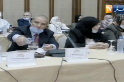 “الوزير الأول :” 590 شخص شاركوا في عملية إثراء الدستور